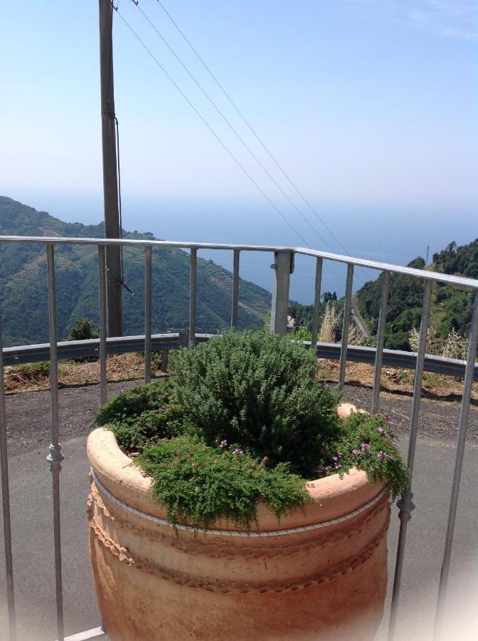 Affittacamereirosmarini Vernazza Zewnętrze zdjęcie